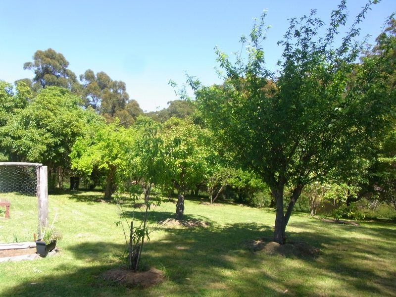 139 Nethercote Road, Nethercote NSW 2549