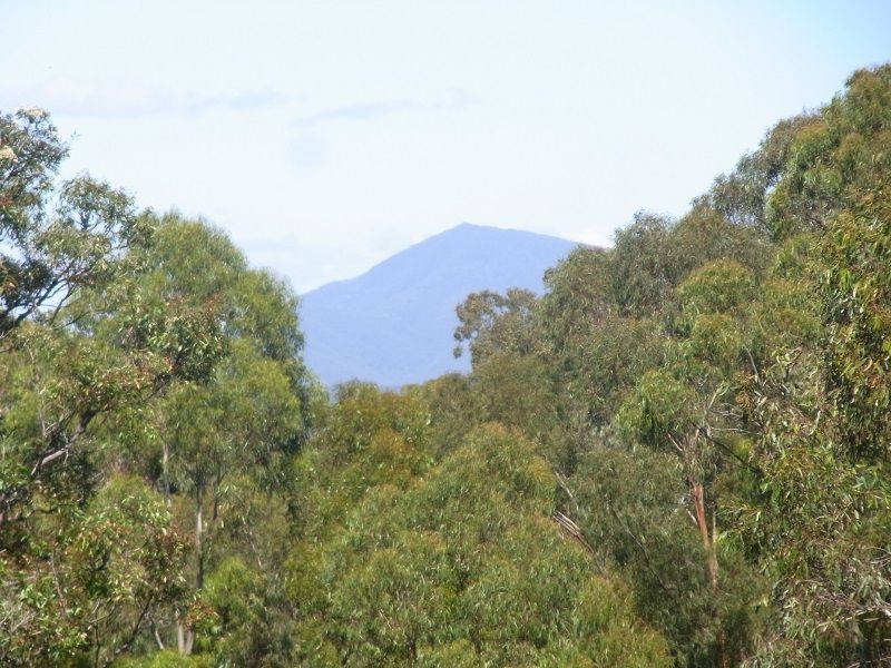 139 Nethercote Road, Nethercote NSW 2549