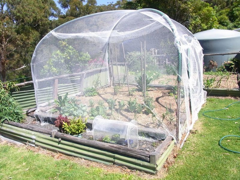 139 Nethercote Road, Nethercote NSW 2549
