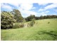 139 Nethercote Road, Nethercote NSW 2549