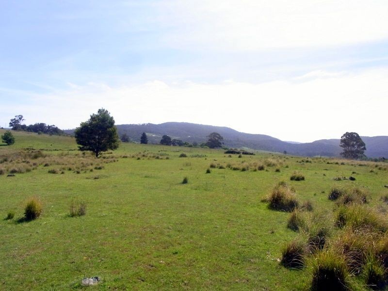 L365 Bindaree Road, Lochiel NSW 2549