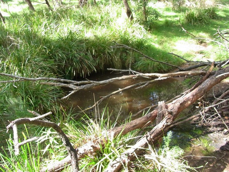 L365 Bindaree Road, Lochiel NSW 2549