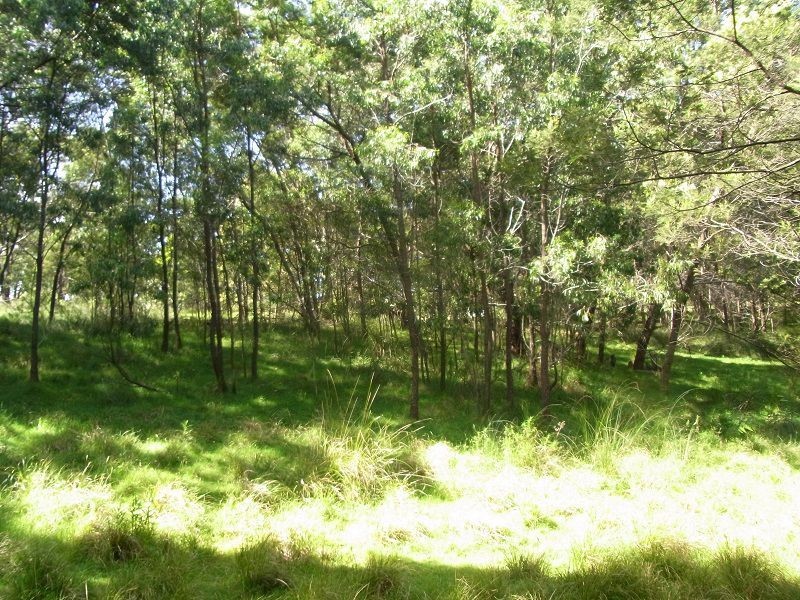 L365 Bindaree Road, Lochiel NSW 2549