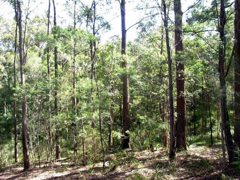 L365 Bindaree Road, Lochiel NSW 2549