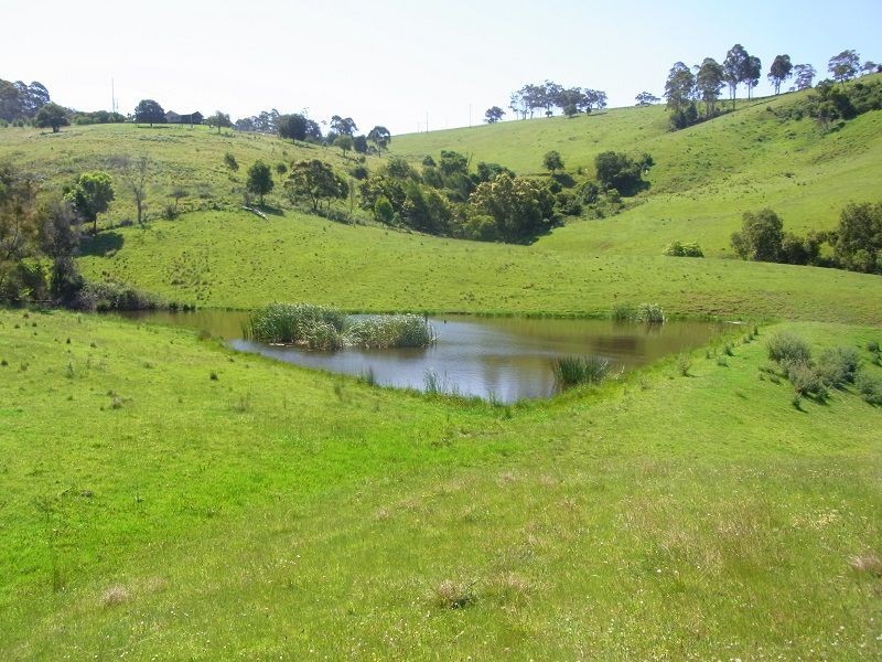 L116 Woodlands Lane, Bald Hills NSW 2549