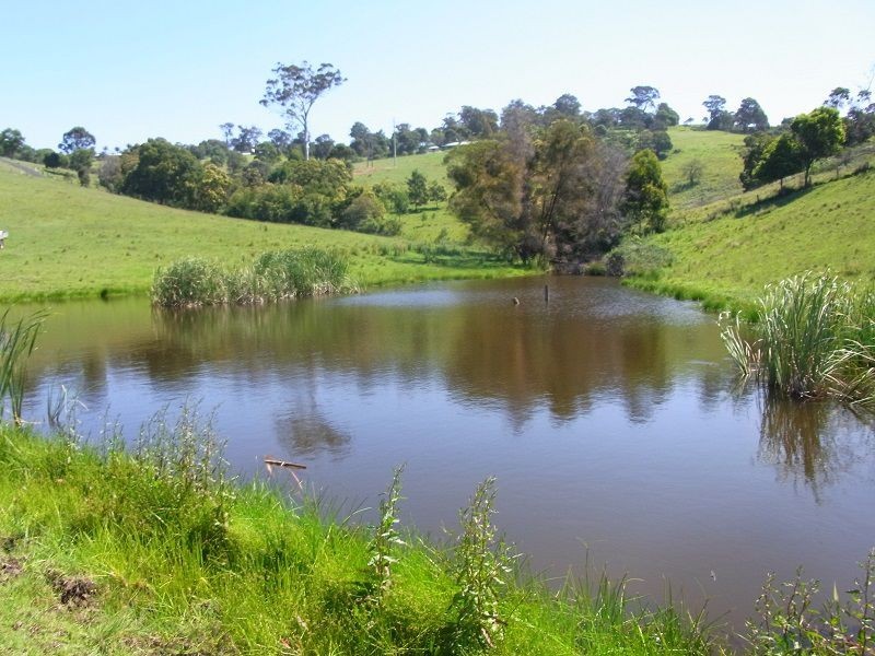 L116 Woodlands Lane, Bald Hills NSW 2549