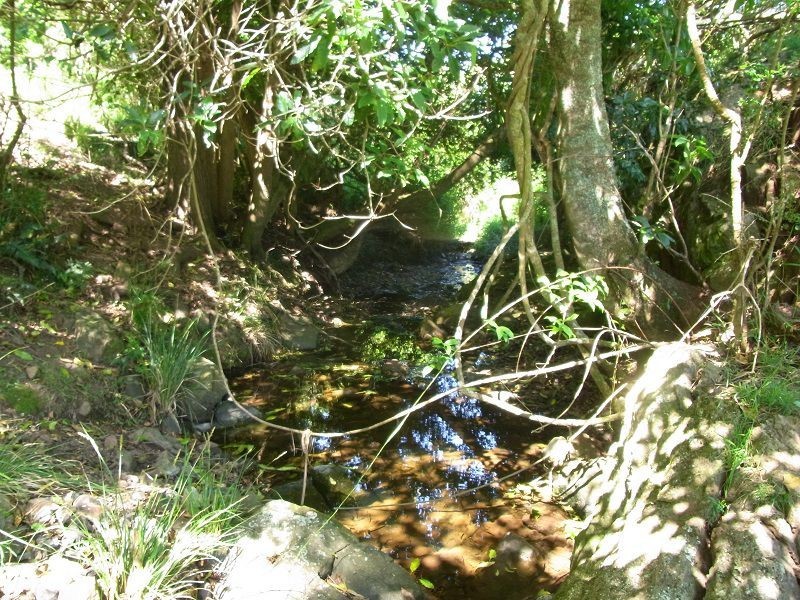 L116 Woodlands Lane, Bald Hills NSW 2549