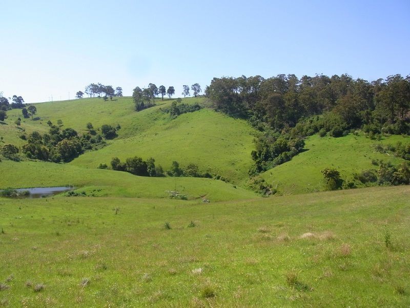 L116 Woodlands Lane, Bald Hills NSW 2549