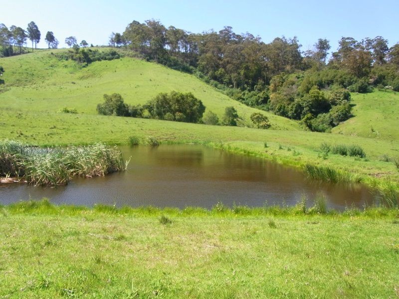 L116 Woodlands Lane, Bald Hills NSW 2549