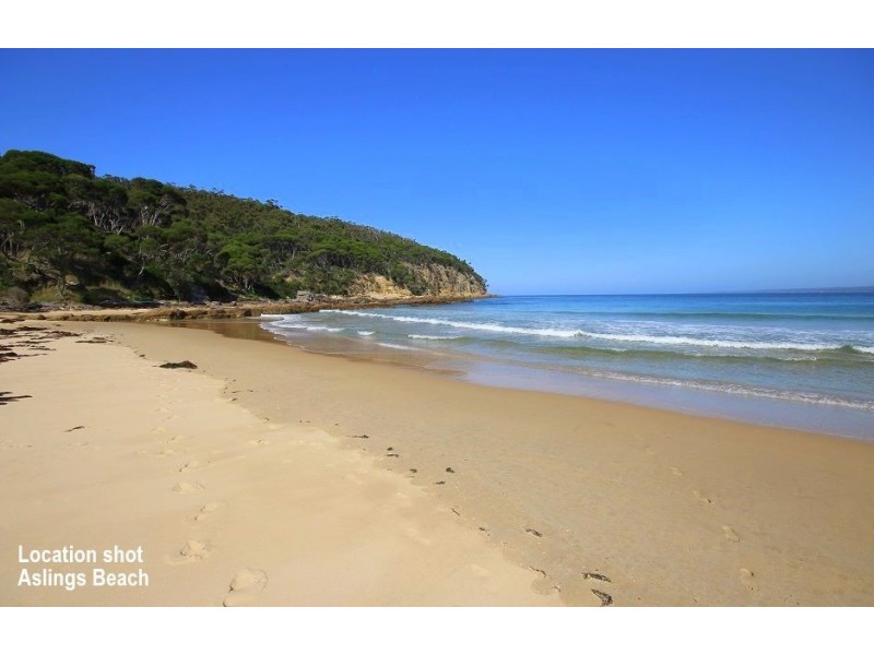 Lot 202 Kingfisher Circuit, Eden NSW 2551