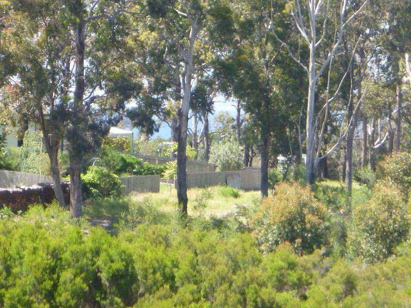 Lot 202 Kingfisher Circuit, Eden NSW 2551