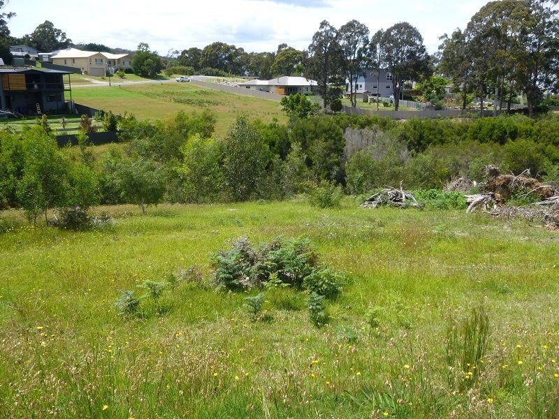 Lot 202 Kingfisher Circuit, Eden NSW 2551