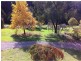 923 Nethercote Road, Nethercote NSW 2549