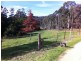 923 Nethercote Road, Nethercote NSW 2549