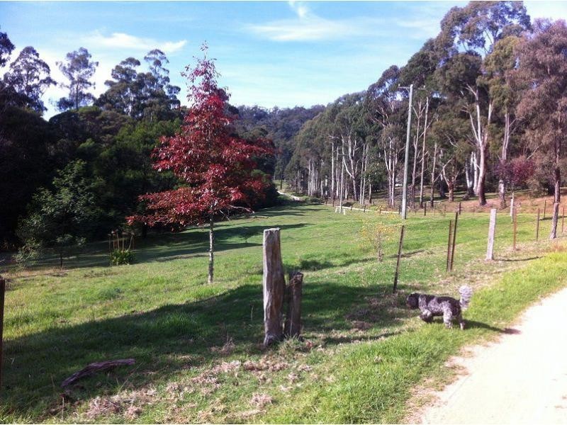923 Nethercote Road, Nethercote NSW 2549