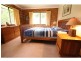 923 Nethercote Road, Nethercote NSW 2549