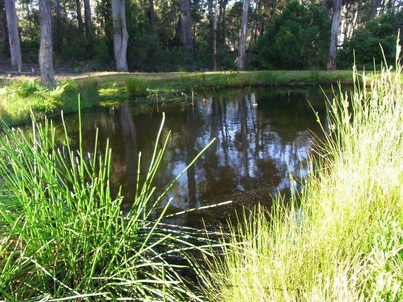 L1 ‘Hope Farm’ Fishermans Lane, Wonboyn NSW 2551