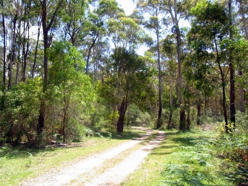 1053 Burragate Road, Wyndham NSW 2550