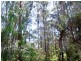 1053 Burragate Road, Wyndham NSW 2550