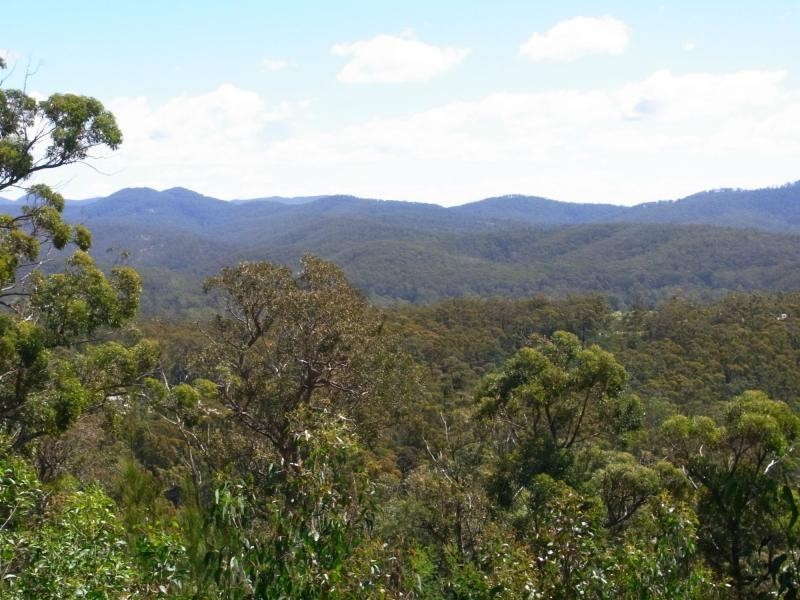 203 Yarran Road, Boydtown NSW 2551