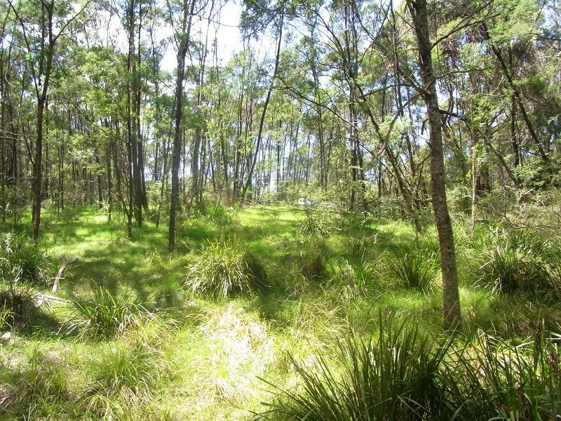 215 Myrtle Mtn Road, Wyndham NSW 2550