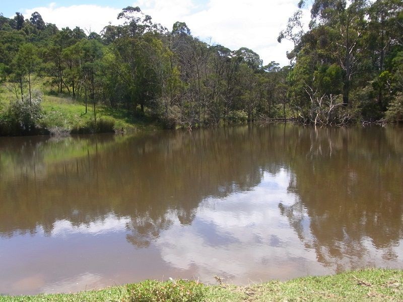 215 Myrtle Mtn Road, Wyndham NSW 2550