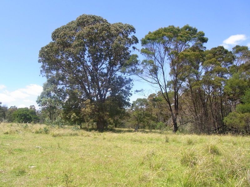 215 Myrtle Mtn Road, Wyndham NSW 2550