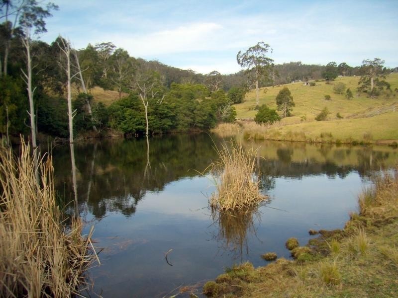 610 Nethercote Road, Nethercote NSW 2549