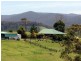 610 Nethercote Road, Nethercote NSW 2549