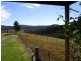 610 Nethercote Road, Nethercote NSW 2549