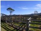 610 Nethercote Road, Nethercote NSW 2549