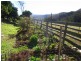 610 Nethercote Road, Nethercote NSW 2549