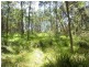 215 Myrtle Mtn Road, Wyndham NSW 2550