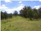 215 Myrtle Mtn Road, Wyndham NSW 2550