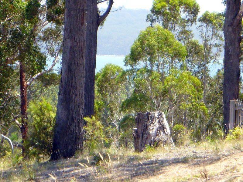 L29 Cornubia Place, BOYDTOWN Via EDEN, Eden NSW 2551