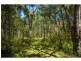 Lot 1 Wallagaraugh Road, Genoa VIC 3891