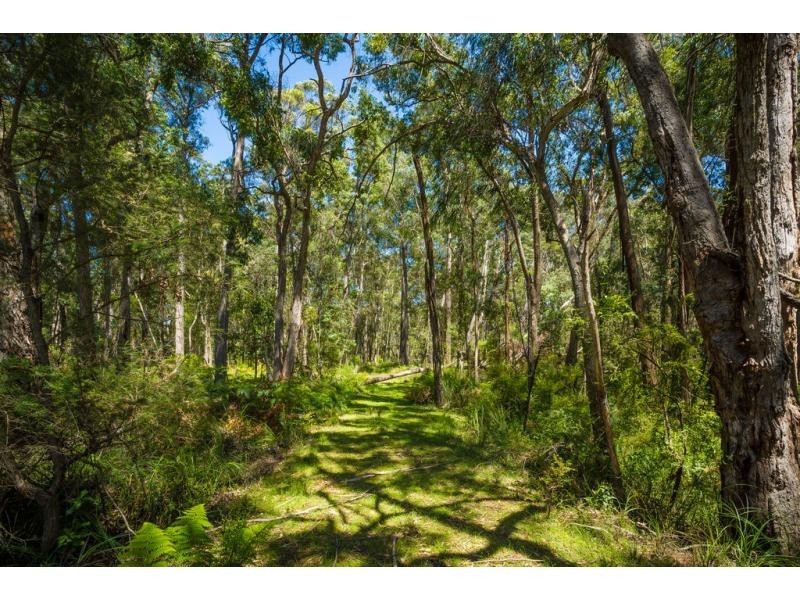 Lot 1 Wallagaraugh Road, Genoa VIC 3891