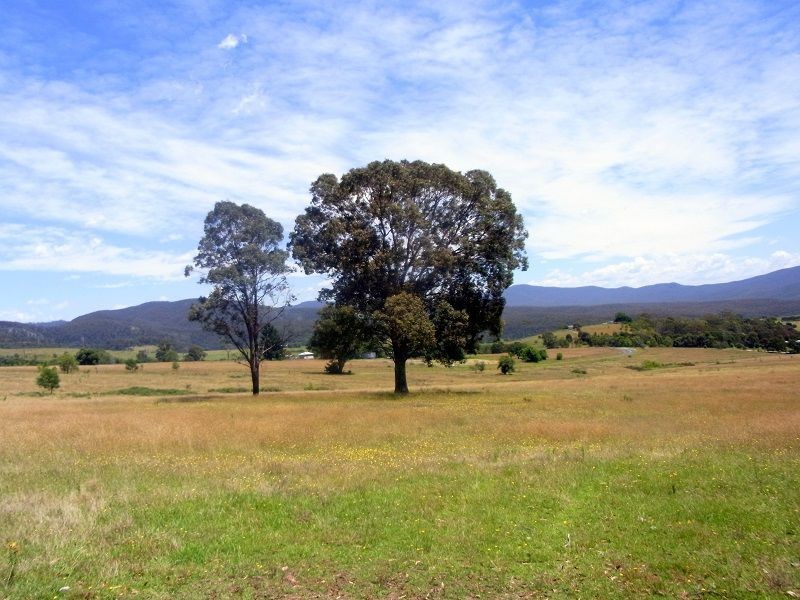 689 Back Creek Road, Lochiel NSW 2549