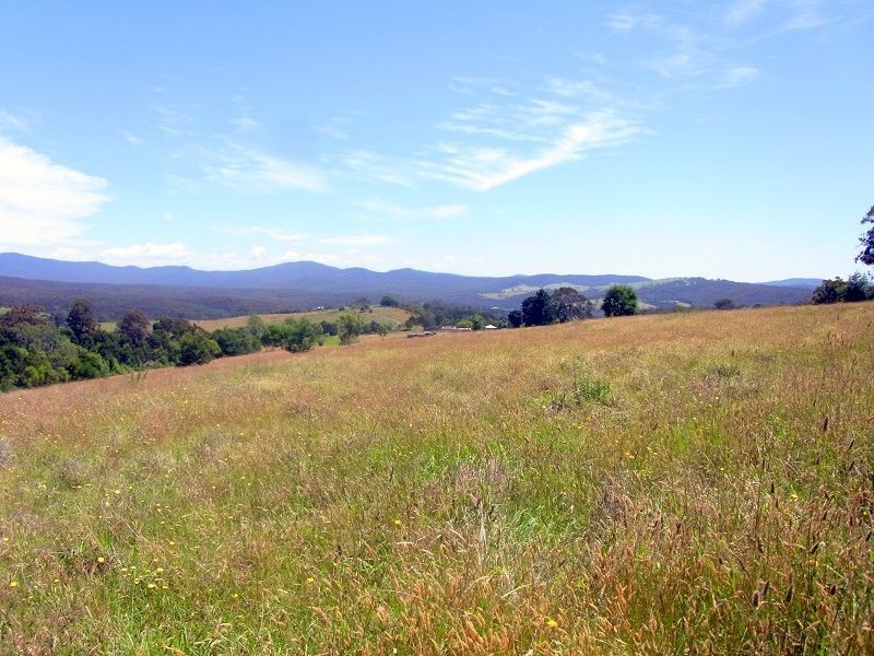 689 Back Creek Road, Lochiel NSW 2549