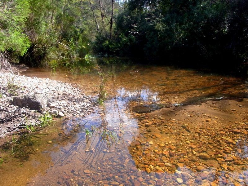 1215 Nethercote Road, Nethercote NSW 2549