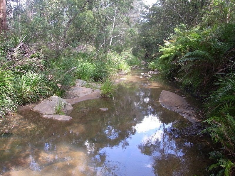 360 Myrtle Mountain Road, Wyndham NSW 2550