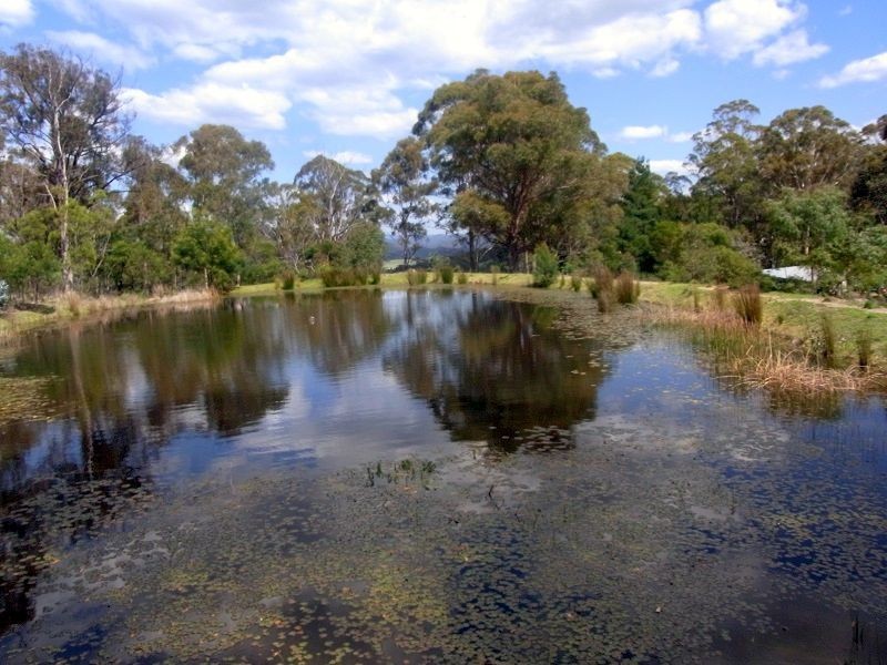360 Myrtle Mountain Road, Wyndham NSW 2550