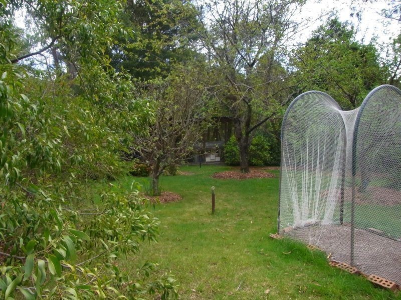 360 Myrtle Mountain Road, Wyndham NSW 2550