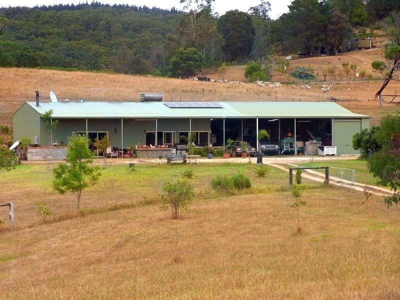 201 Pericoe Road, Towamba NSW 2550