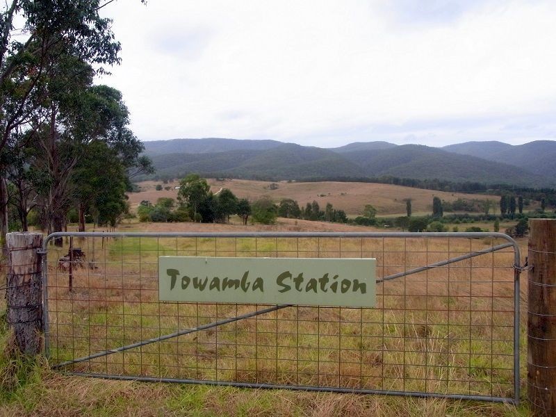 201 Pericoe Road, Towamba NSW 2550