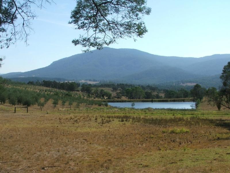 201 Pericoe Road, Towamba NSW 2550