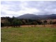 201 Pericoe Road, Towamba NSW 2550