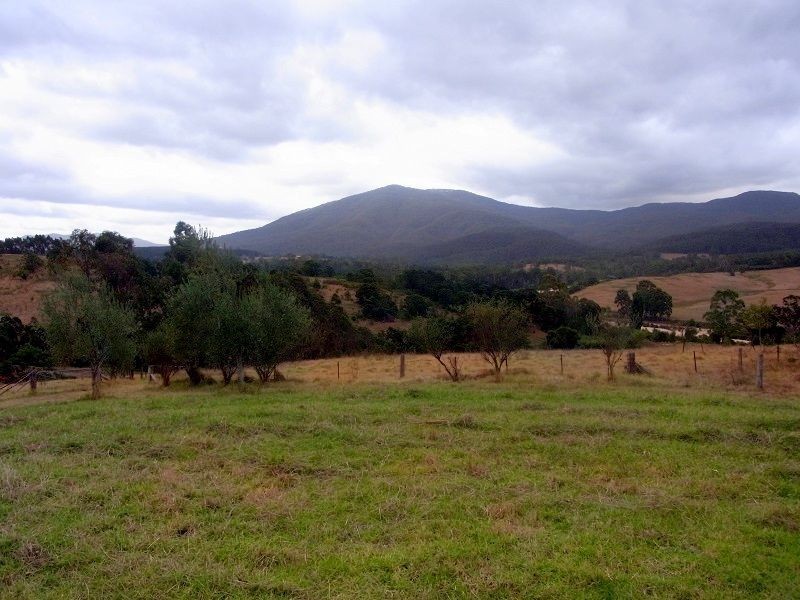 201 Pericoe Road, Towamba NSW 2550