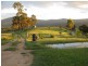 201 Pericoe Road, Towamba NSW 2550