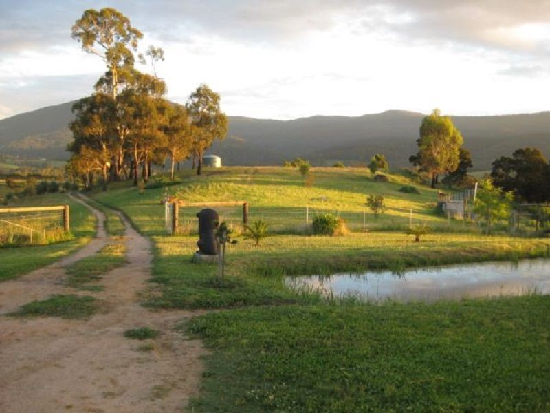 201 Pericoe Road, Towamba NSW 2550